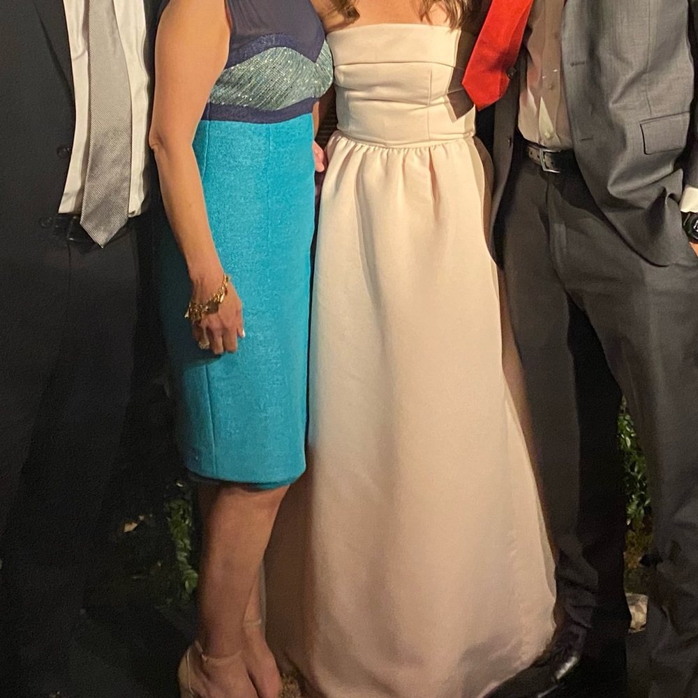 Bella Bridesmaids Amsale Rene Dress size 4